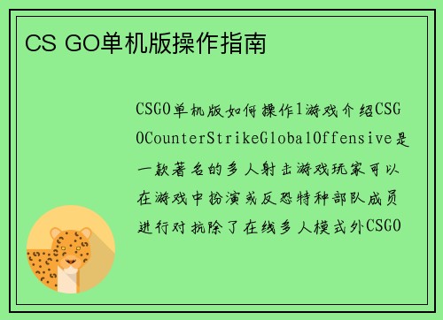CS GO单机版操作指南